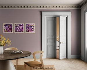 Infinite Violet