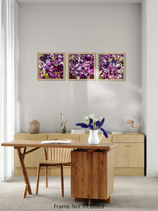 Infinite Violet