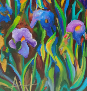 Campi di iris blu