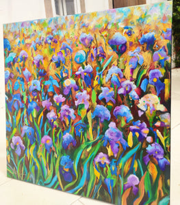Blaue Irisfelder
