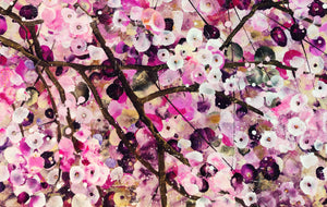 Cherry Blossom Serenade