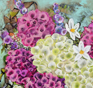 Pink and White Hydrangea Blooms