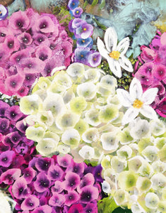 Pink and White Hydrangea Blooms