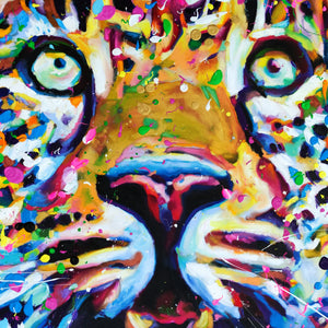 Hypnotisé - Portrait d'un léopard