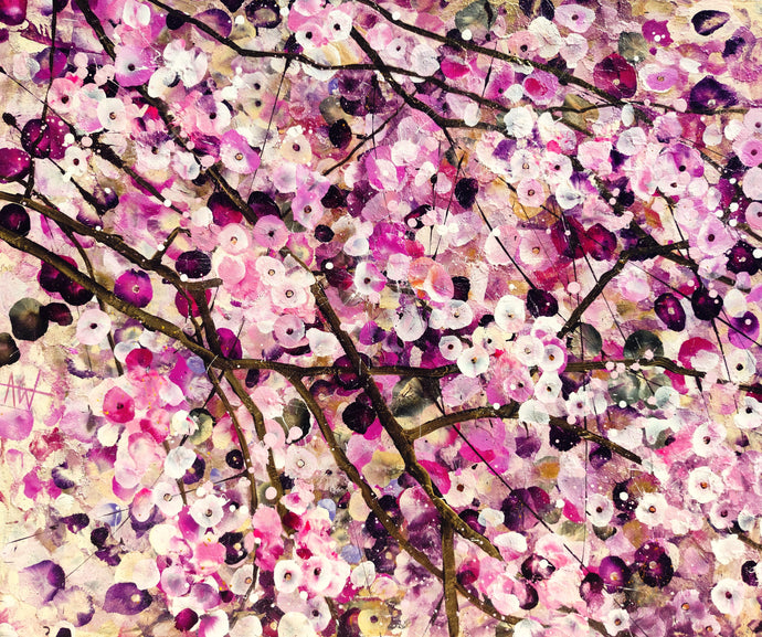 Cherry Blossom Serenade